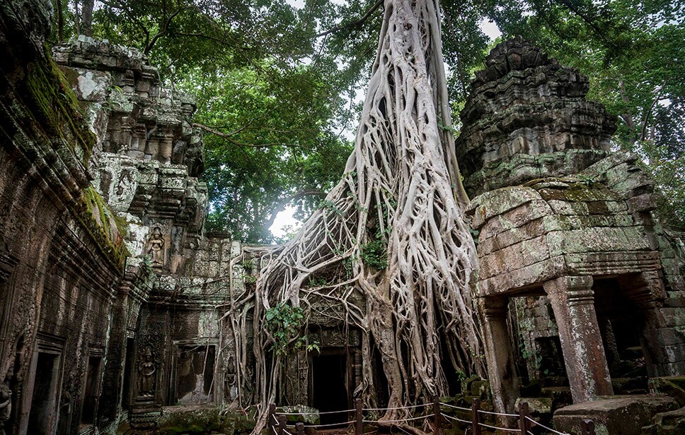 Siem Reap A heritage keeper
